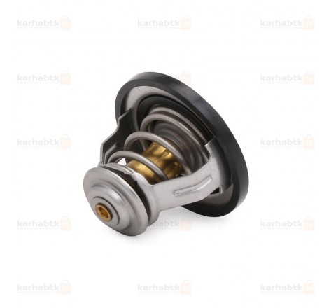 THERMOSTAT  205 305 D