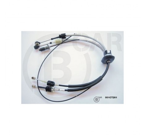 CABLE VITESSE EXPERT - 807...